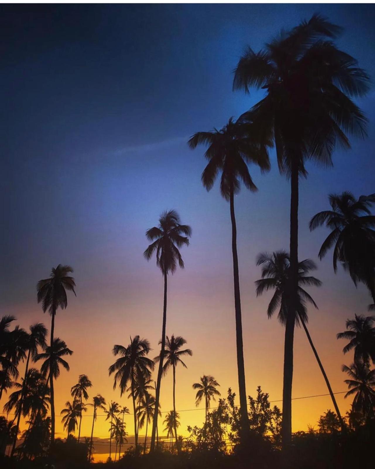 Your Zanzibar Place Падже Экстерьер фото